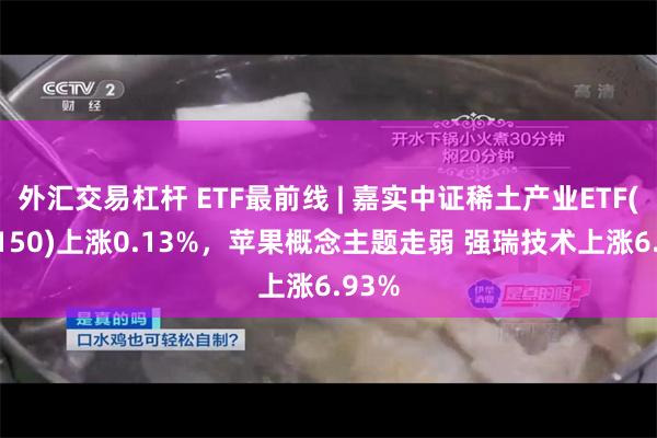 外汇交易杠杆 ETF最前线 | 嘉实中证稀土产业ETF(516150)上涨0.13%，苹果概念主题走弱 强瑞技术上涨6.93%