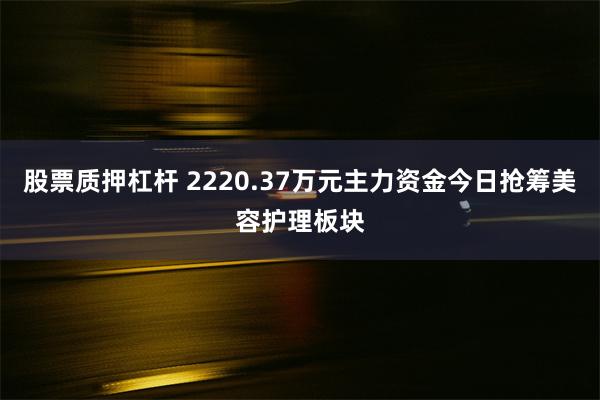 股票质押杠杆 2220.37万元主力资金今日抢筹美容护理板块