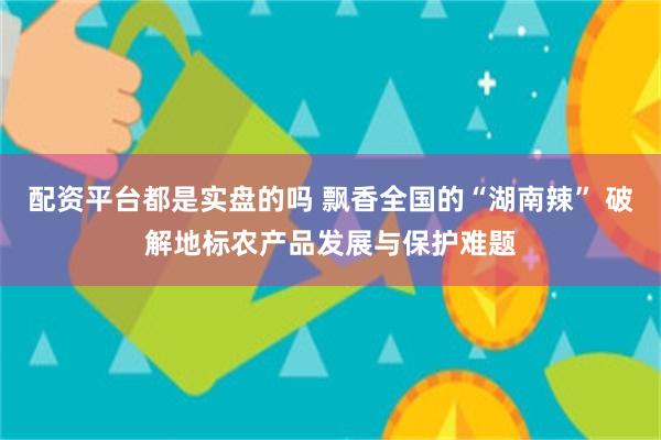 配资平台都是实盘的吗 飘香全国的“湖南辣” 破解地标农产品发展与保护难题