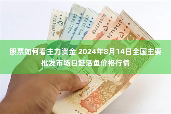 股票如何看主力资金 2024年8月14日全国主要批发市场白鲢活鱼价格行情