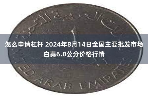 怎么申请杠杆 2024年8月14日全国主要批发市场白蒜6.0公分价格行情