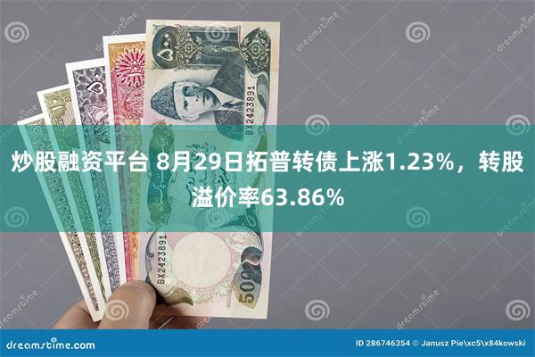 炒股融资平台 8月29日拓普转债上涨1.23%，转股溢价率63.86%