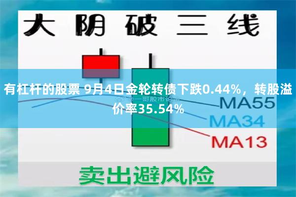 有杠杆的股票 9月4日金轮转债下跌0.44%，转股溢价率35.54%