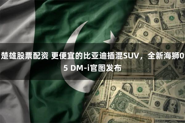 楚雄股票配资 更便宜的比亚迪插混SUV，全新海狮05 DM-i官图发布