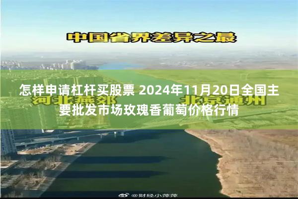 怎样申请杠杆买股票 2024年11月20日全国主要批发市场玫瑰香葡萄价格行情