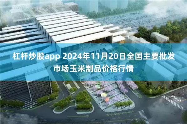 杠杆炒股app 2024年11月20日全国主要批发市场玉米制品价格行情