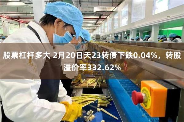 股票杠杆多大 2月20日天23转债下跌0.04%，转股溢价率332.62%