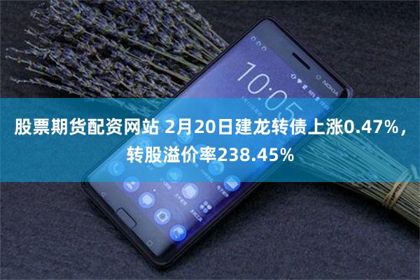 股票期货配资网站 2月20日建龙转债上涨0.47%，转股溢价率238.45%