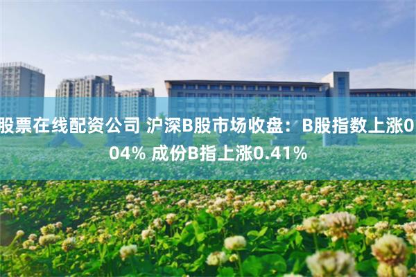 股票在线配资公司 沪深B股市场收盘：B股指数上涨0.04% 成份B指上涨0.41%